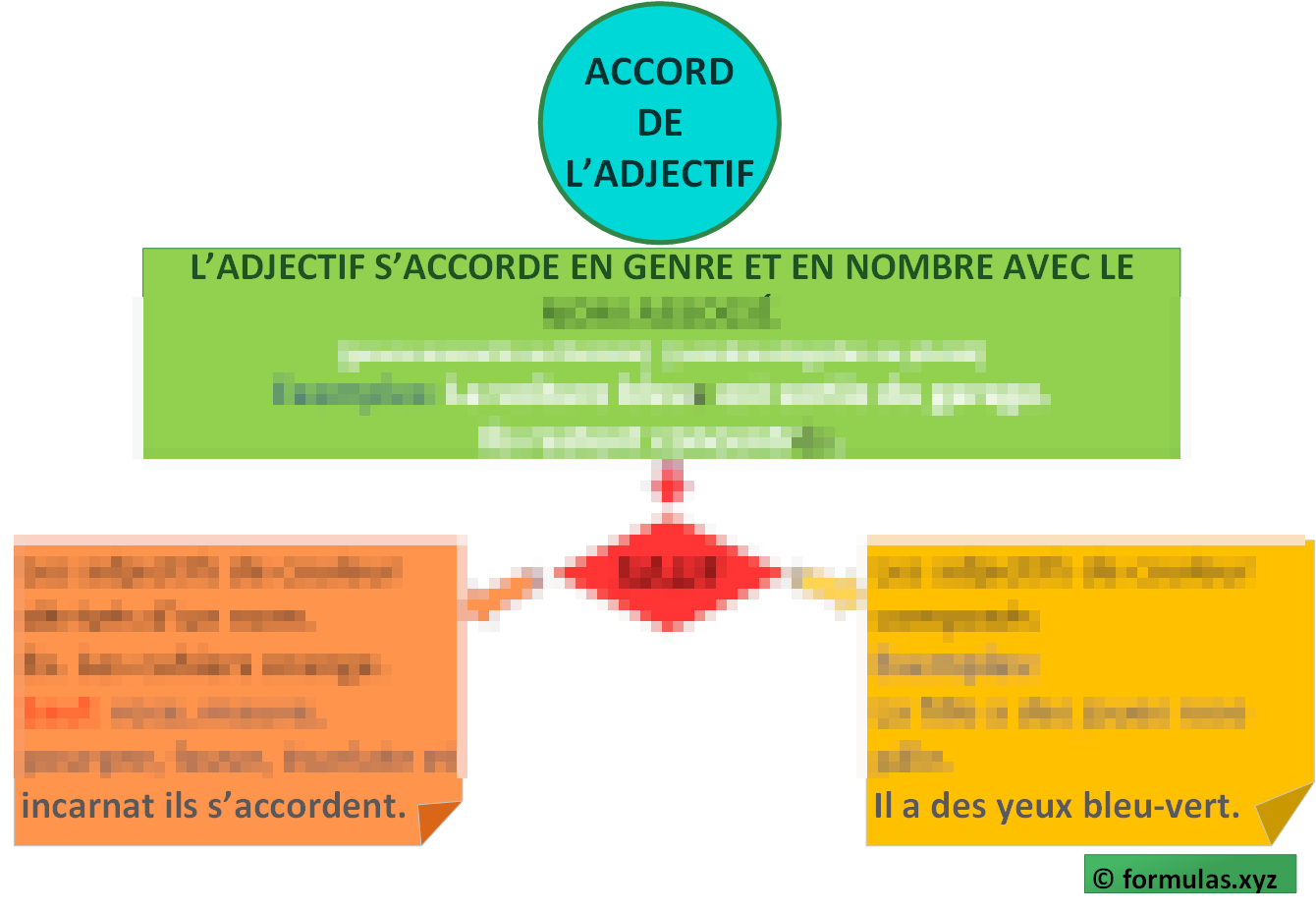 Les Accords Des Adjectifs (carte mentale) Laminée (29cm X 23cm)