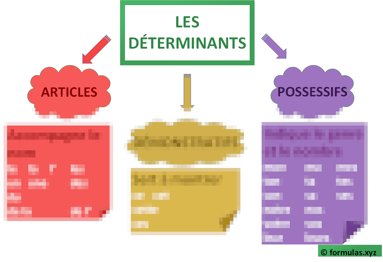 Les Déterminants (carte mentale) Laminée (29cm X 23cm)