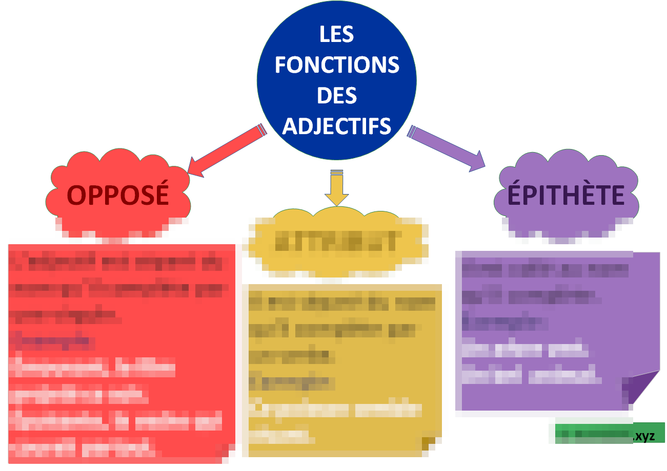 Les Fonctions Des Adjectifs (carte mentale) Laminée (29cm X 23cm)