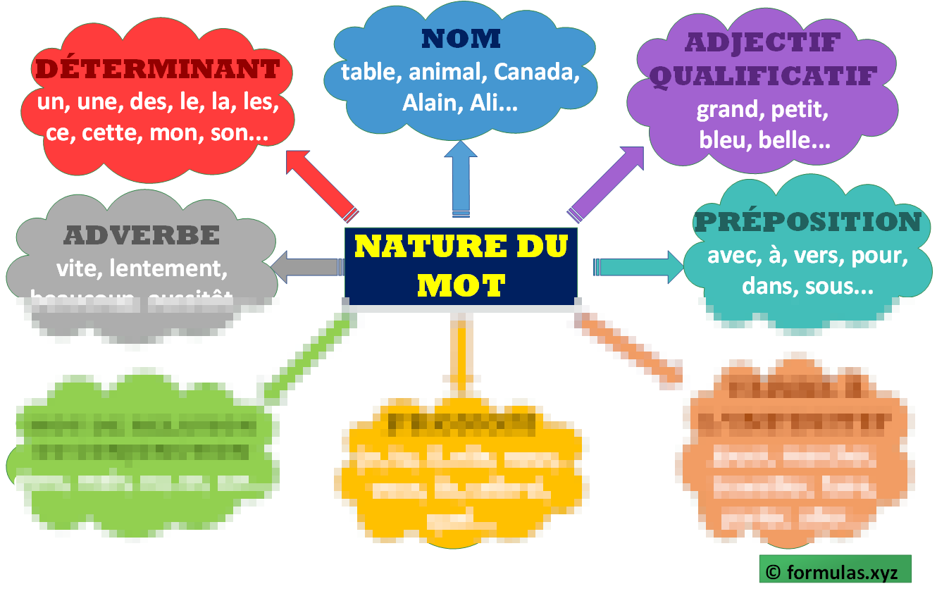 Nature Du Mot (carte mentale) Laminée (29cm X 23cm)
