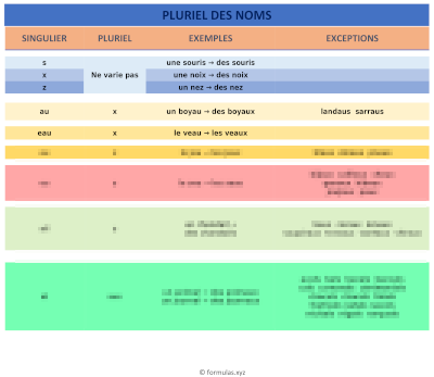 Pluriel Des Noms (Français) Laminée (29cm X 23cm)