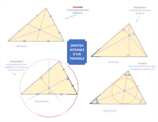 DROITES INTERNES D'UN TRIANGLE (carte mentale) Laminée (29cm X 23cm)