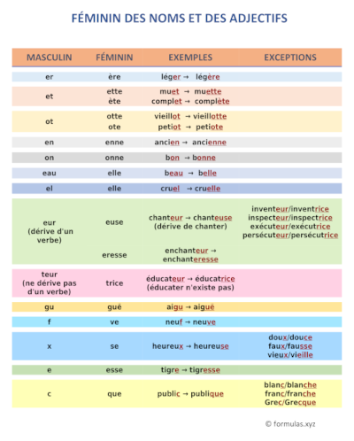 FÉMININ DES NOMS ET DES ADJECTIFS (français)