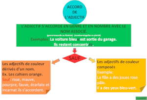 Les Accords Des Adjectifs (carte mentale)