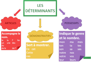 Les Déterminants (carte mentale)