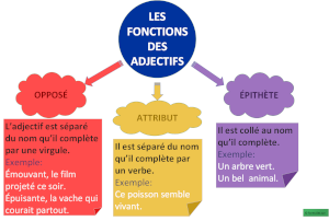 Les Fonctions Des Adjectifs (carte mentale)