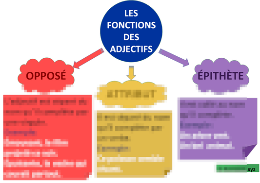 Les Fonctions Des Adjectifs (carte mentale) Laminée (29cm X 23cm)
