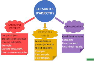 Les Sortes d'Adjectifs (carte mentale)