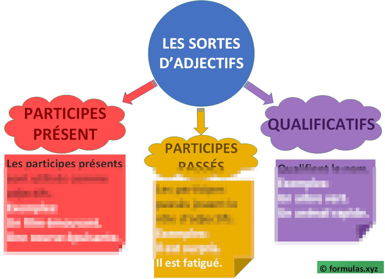 Les Sortes d'Adjectifs (carte mentale) Laminée (29cm X 23cm)