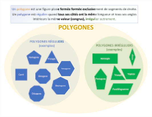 POLYGONES (carte mentale) Laminée (29cm X 23cm)