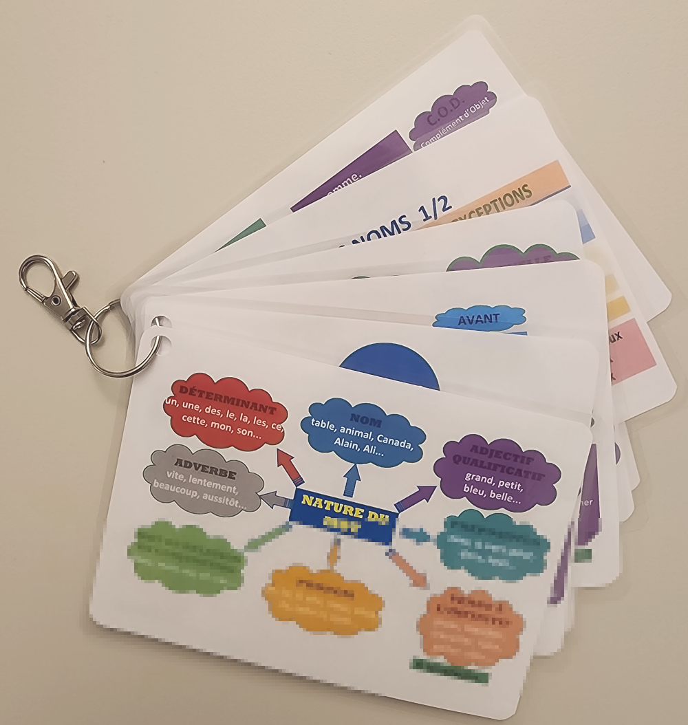 Concepts visuels de la langue française laminés pour le primaire