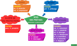 Les Préfixes (carte mentale)