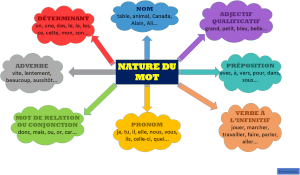 Nature Du Mot (carte mentale)